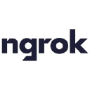 Ngrok logo