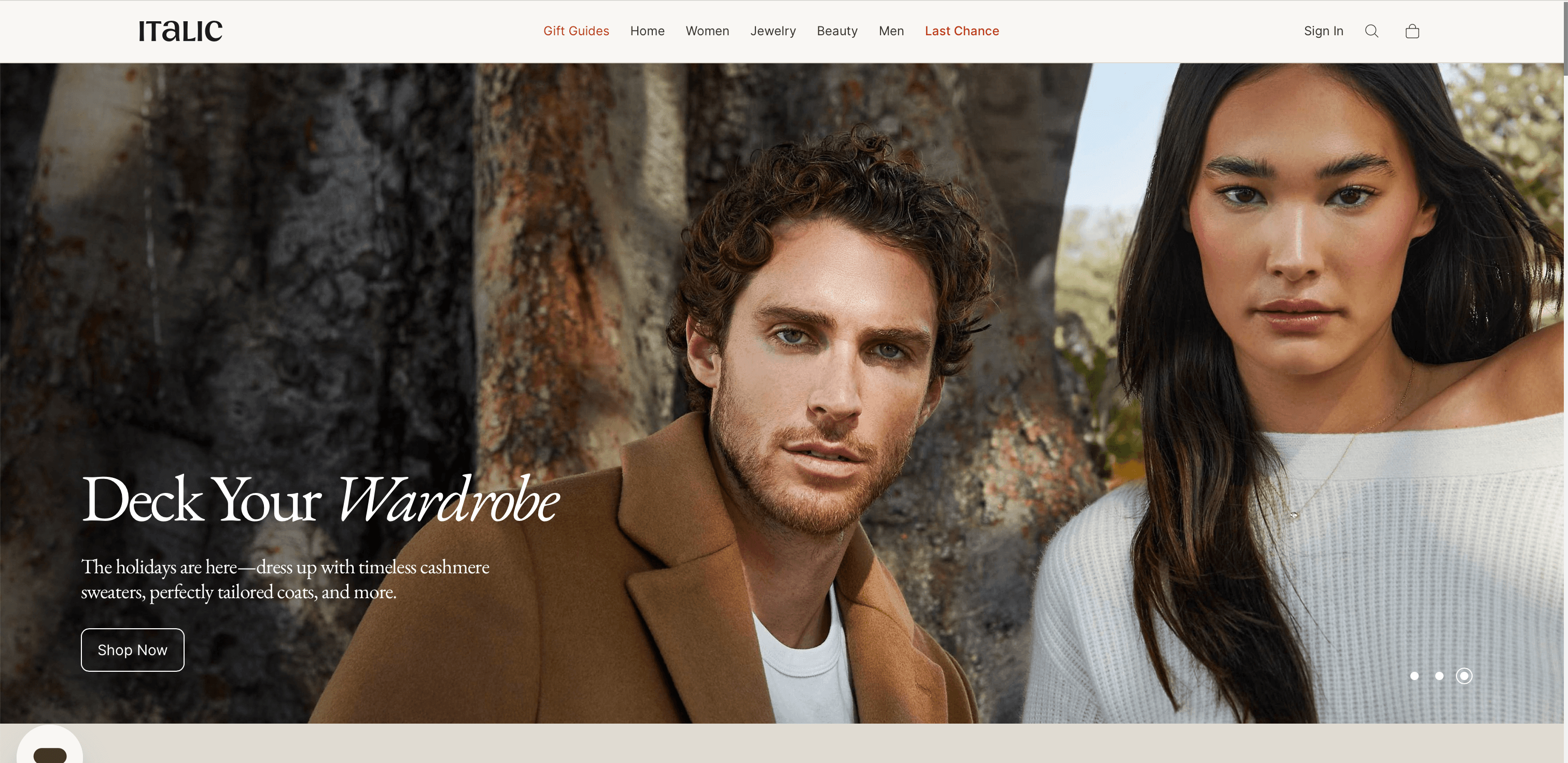 Italic website screenshot
