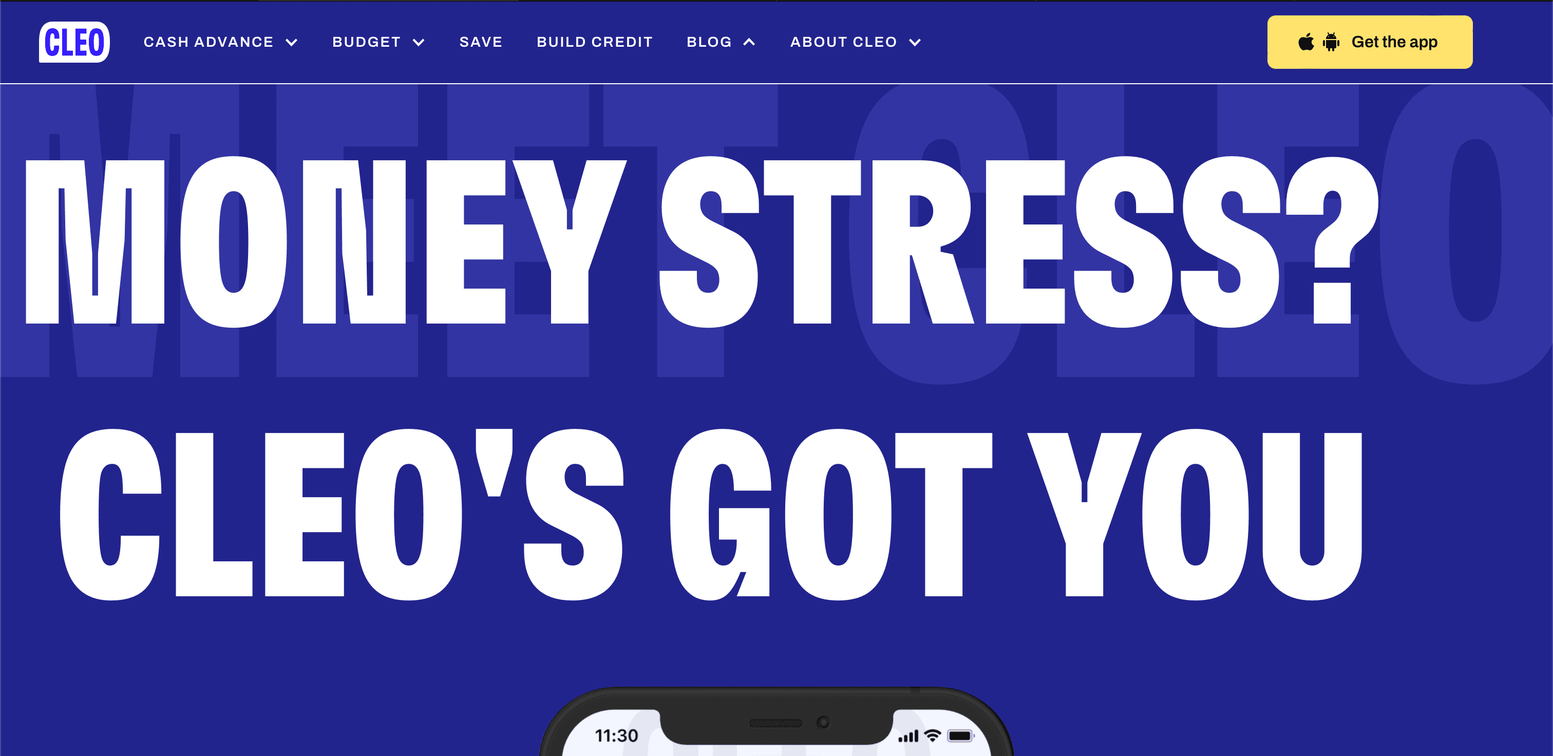 Cleo website screenshot