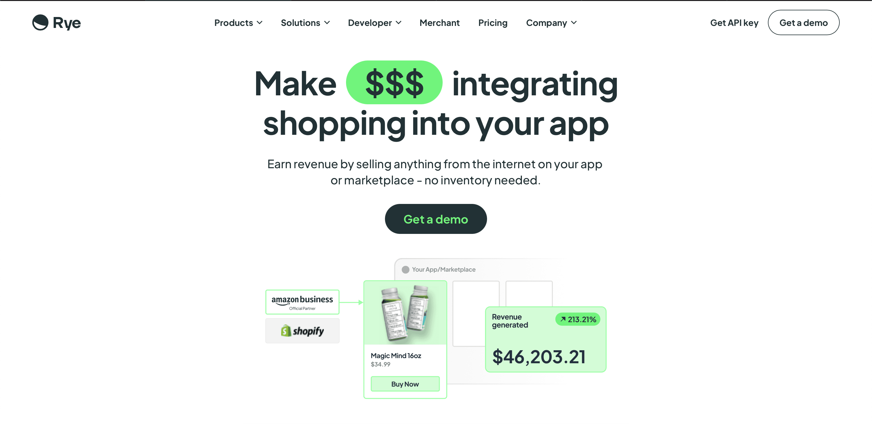 Rye website screenshot