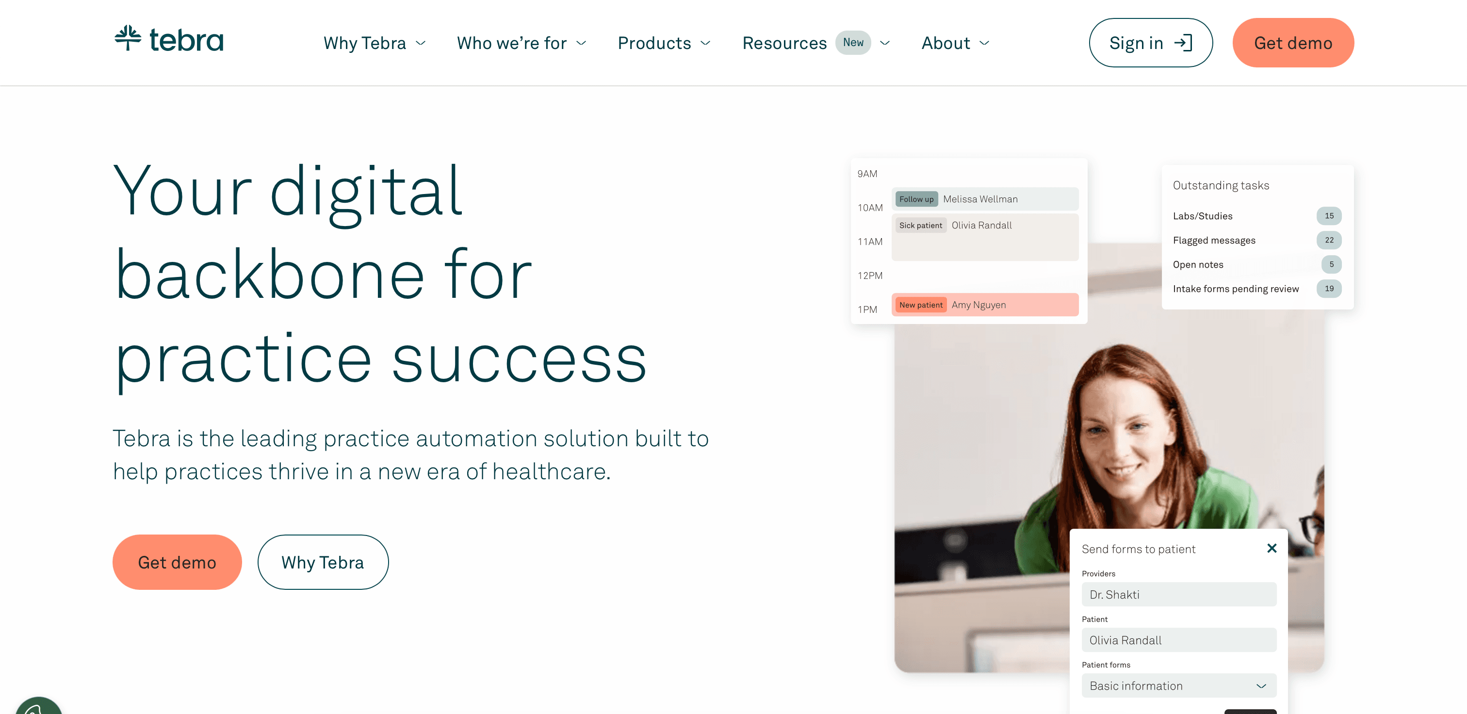 Tebra website screenshot