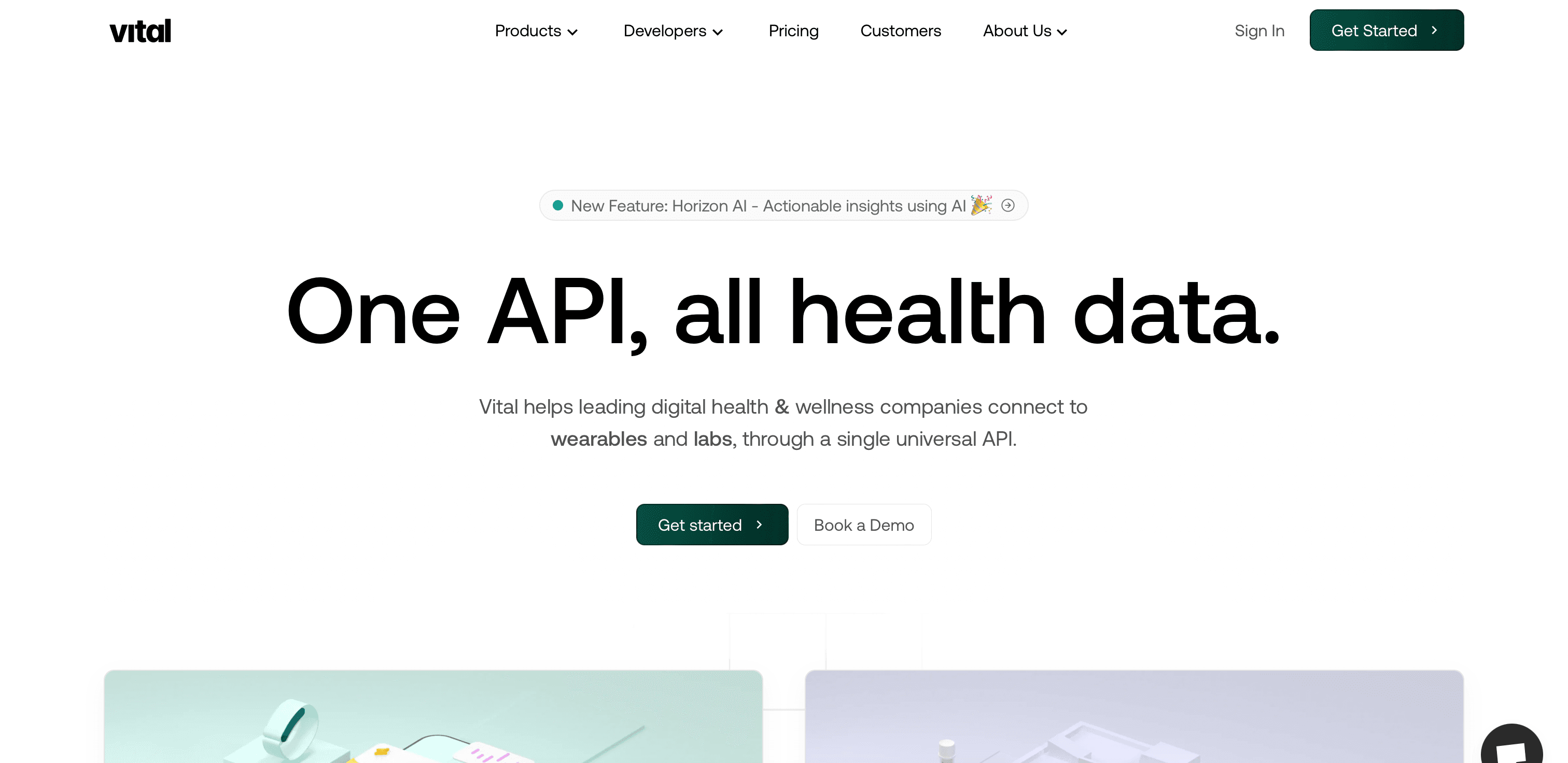 Vital website screenshot